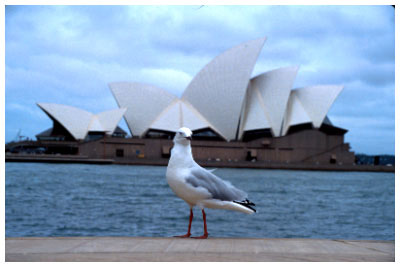 Sydney Opera House - photo: Sigalit Perkol